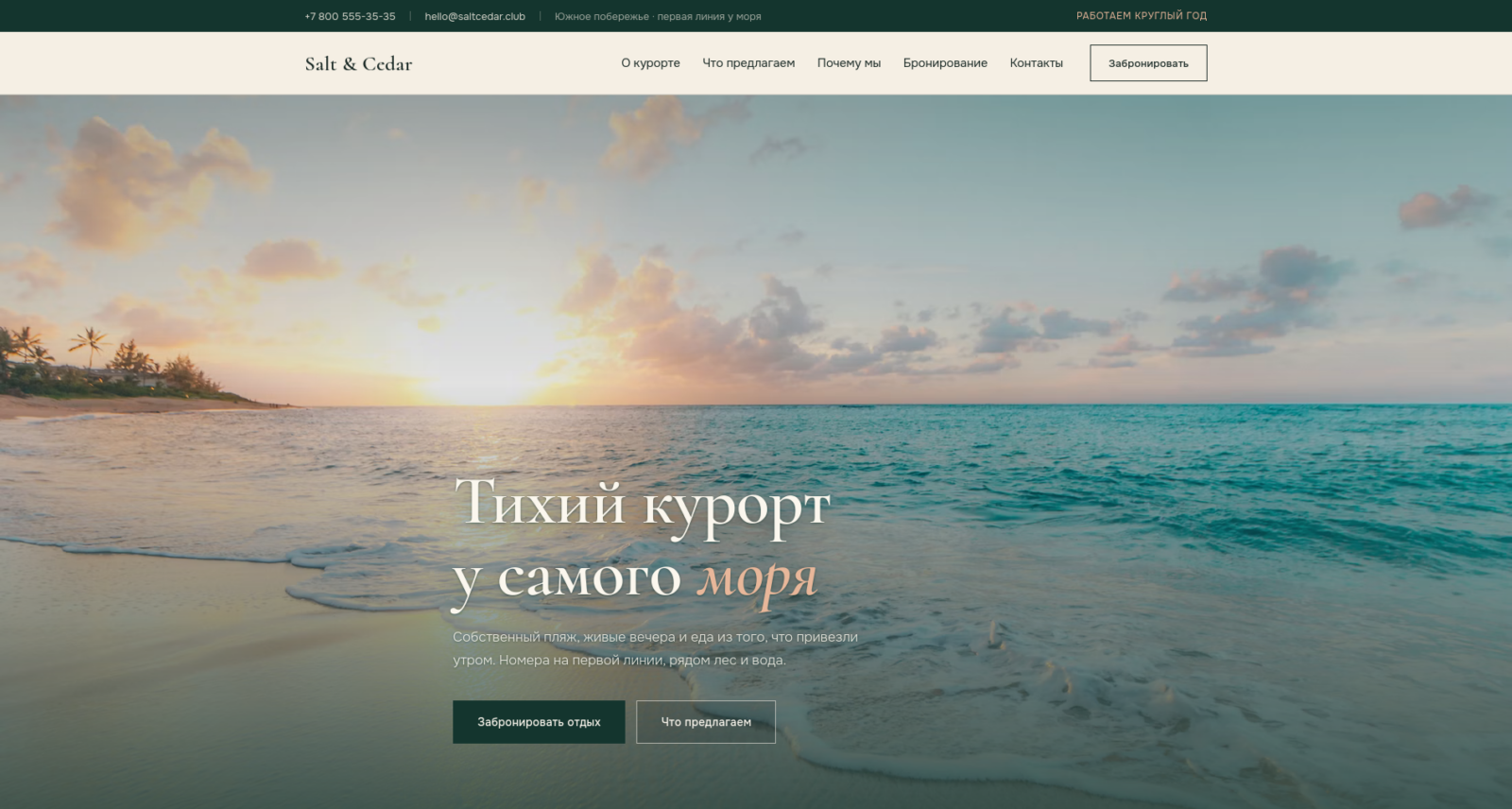 Скриншот главной страницы лединга Salt and Cedar