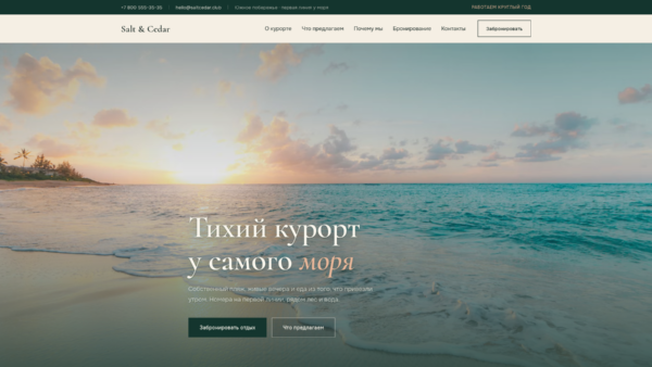 Скриншот главной страницы лединга Salt and Cedar