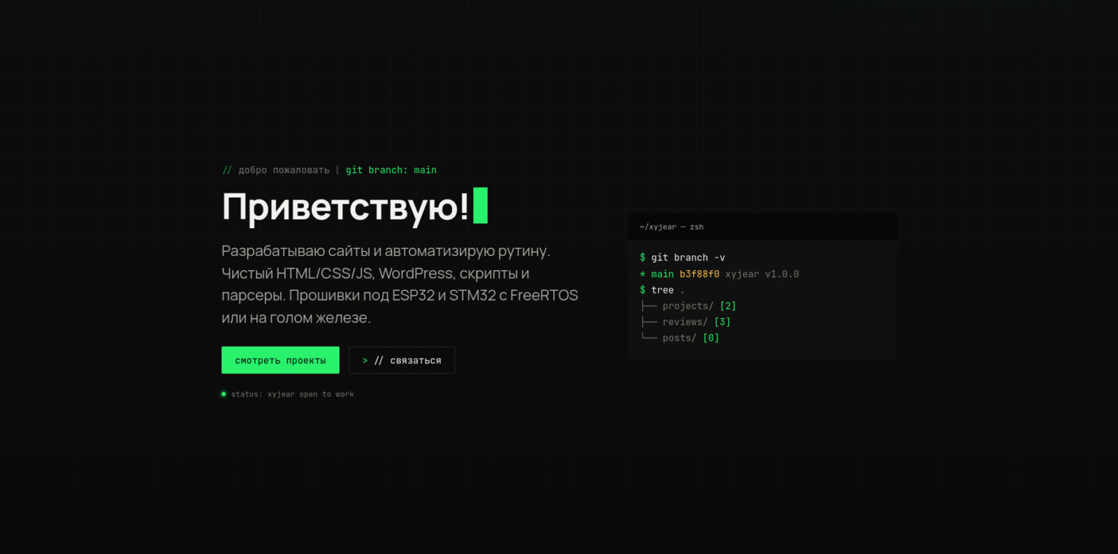 Скриншот главной страницы сайта xyjear