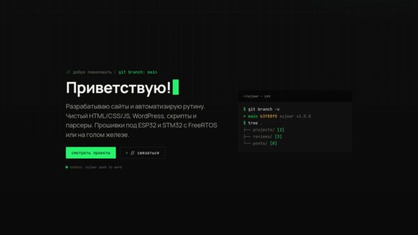 Скриншот главной страницы сайта xyjear